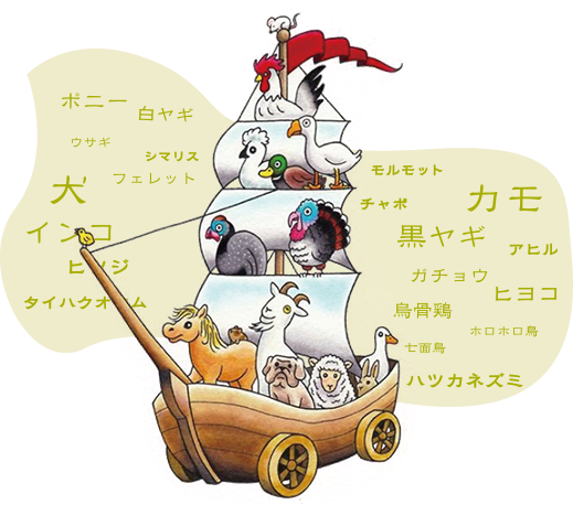 動物